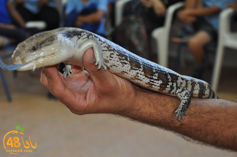 nady nhary 7san (11).JPG